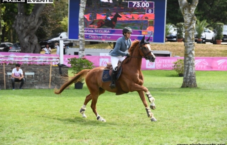 Segura Horse Team