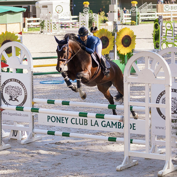 Segura Horse Team