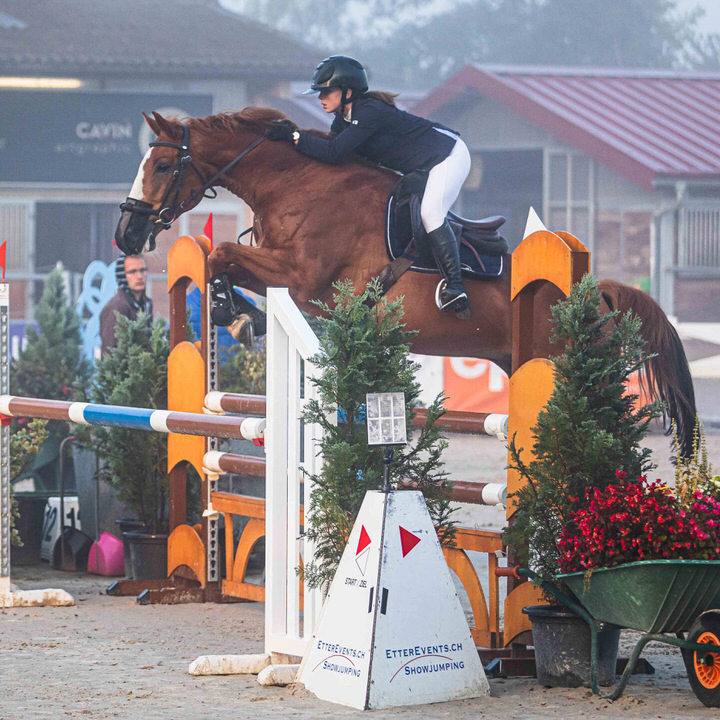 Segura Horse Team - Genève