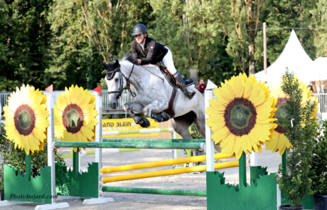 Segura Horse Team - Genève