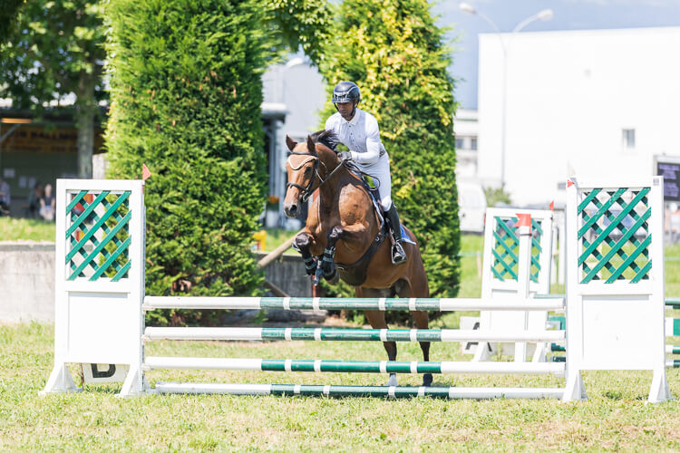 Clement-Oettli-Segura Horse Team-1 Clement-Oettli-Segura Horse Team