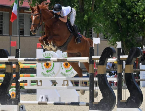 Equestrian news from Italy
