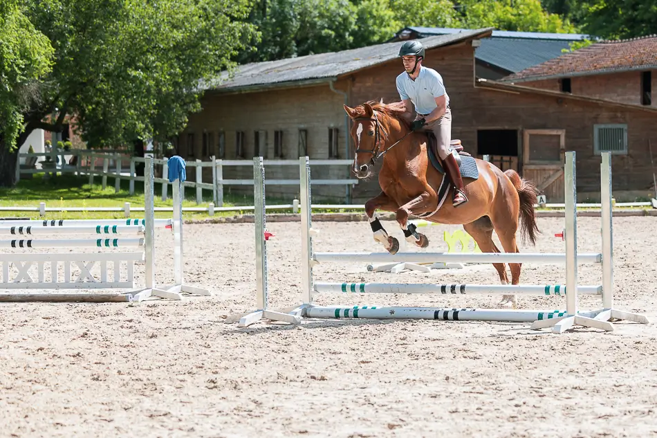 Cours-équitation-saut-obstacle Demi-pension à Genève - Cours CSO