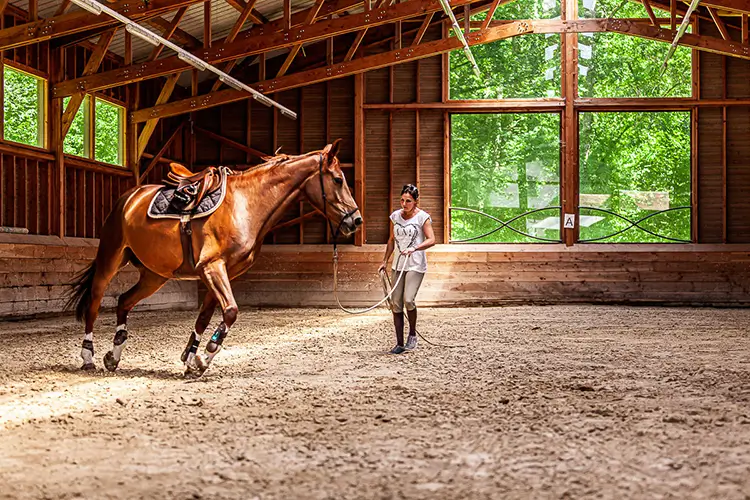ÉQUITATION À GENÈVE ÉQUITATION À GENÈVE
