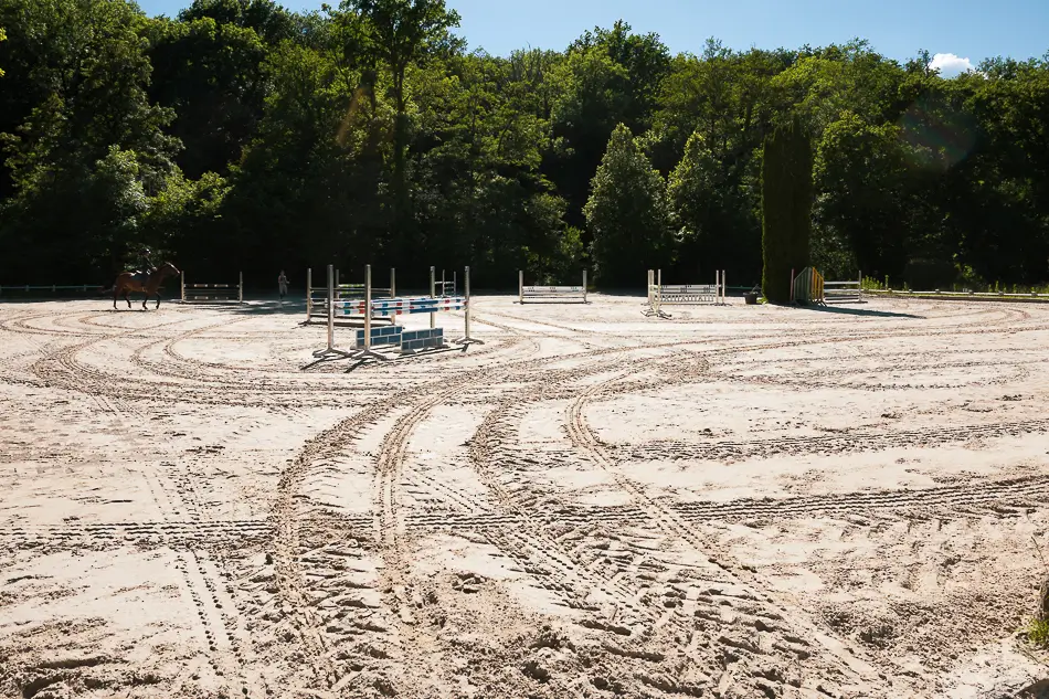 centre-equestre-versoix-la-bâtie-cours